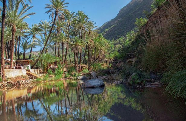 Half-Day Economic Tour of Paradise Valley from Agadir and Taghazout