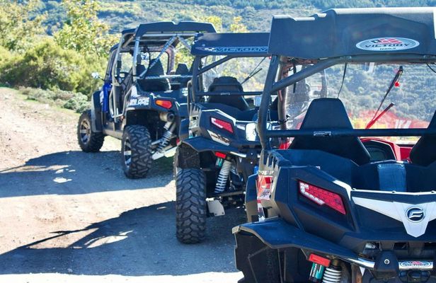 Buggy Tour From Aritzo