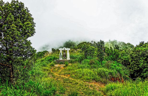 Bach Ma National Park trekking day tour from Danang