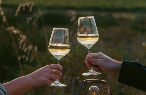 Vineyard with Wine Tasting at Sunset from Castelsardo