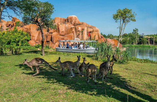 River Safari experience with romantic candlelit dinner by the beach