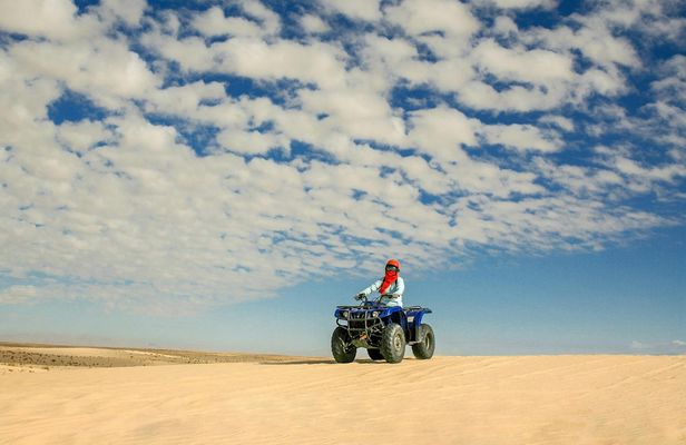 Desert safari by quad bike and 4x4 with Bedouin village dinner