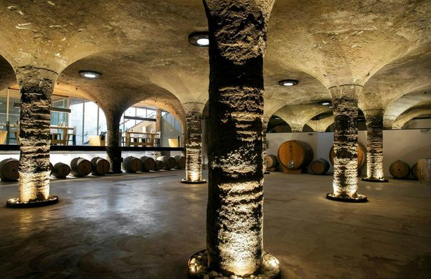 Guided Vineyard Tour and Wine Tasting on Lipari Island