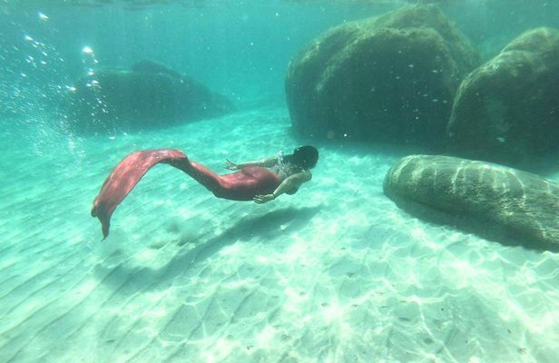 Mermaid Experience in the Gulf of Angels
