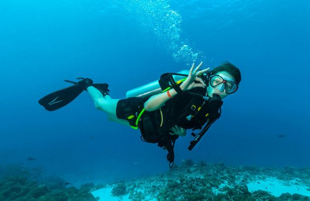 Half-Day Diving in the Gulf of Angels from Cagliari