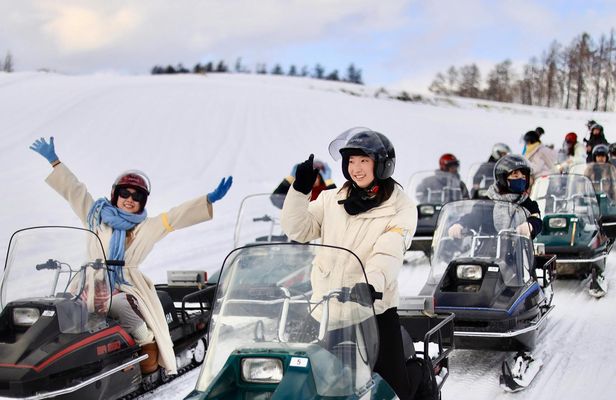 Asahikawa Zoo, Biei, and Ningle Terrace Tour from Hokkaido