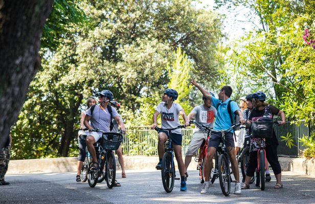 Nice best highlights electric bike tour