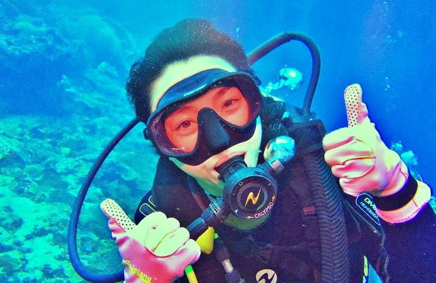 Red Sea diving experiences in Hurghada with transfer