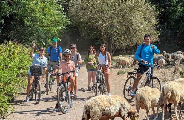 Appian Way and Catacombs E-Bike Private Tour with Transfer