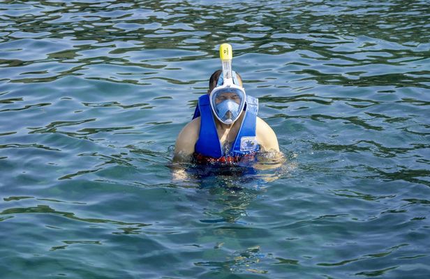 Son Tra Peninsula snorkeling