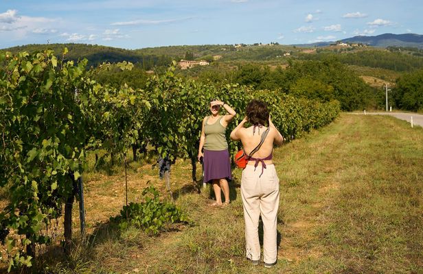Small-Group Winery Tour and Expert-Led Masterclass from Florence