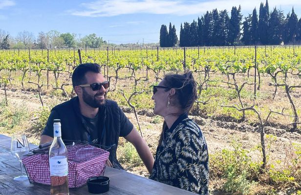 Sable de Camargue half-day minibus tour with lunch and tastings