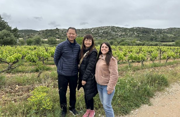 Terrasses du Larzac half-day cave and wine minibus guided tour