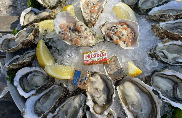 Picpoul de Pinet half-day minibus tour with oyster and wine tasting
