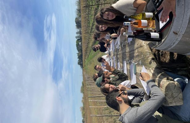 Sable de Camargue full-day minibus tour with lunch and tastings