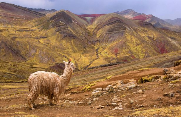 Full-Day Private Hike to Palcoyo Mountain
