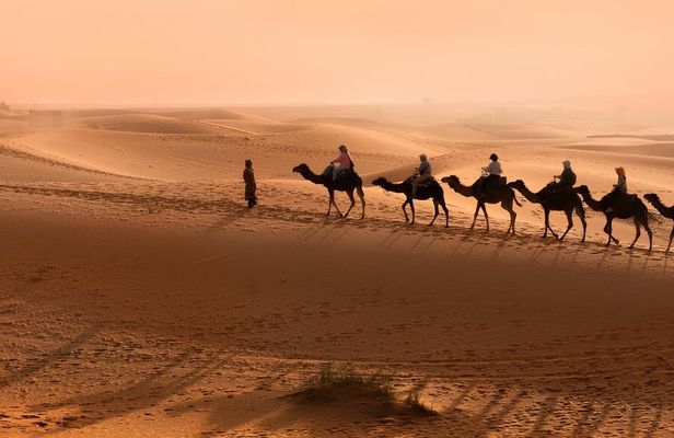 Paradise Valley Half-Day Trip from Agadir with Camel Ride and Lunch