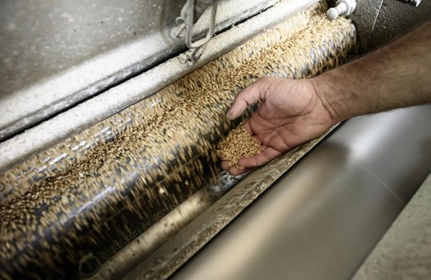 Caltagirone's Historic Mill Guided Tour and Optional Tasting
