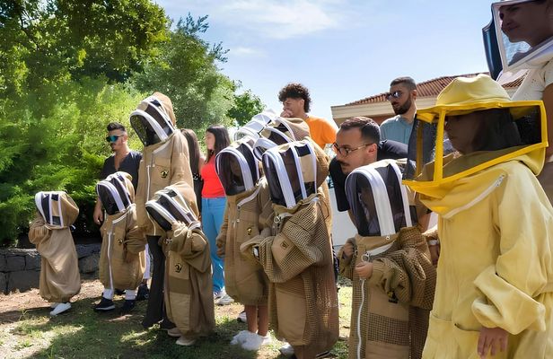 Honey extraction workshop with honey tasting in Zafferana Etnea