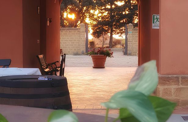 Grape picking and breakfast at the winery in Menfi