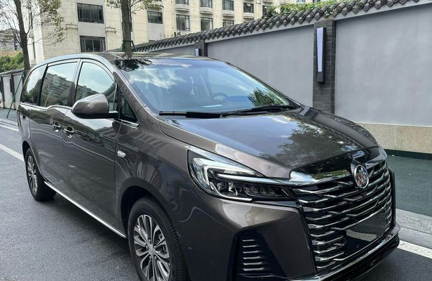 Chengdu TFU Airport One-Way Transfer by Minivan