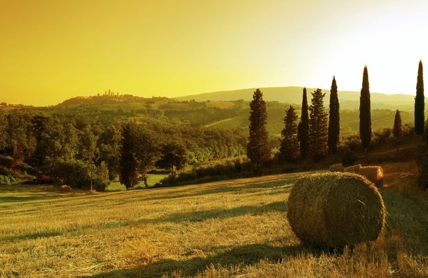 Sunset Wine Tour from Siena to Chianti with Dinner