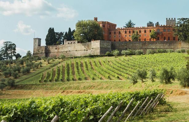 Small Group Chianti Wine Tour from Siena with Lunch