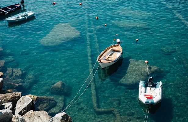 Full-Day Pisa and Manarola Excursion From La Spezia Port