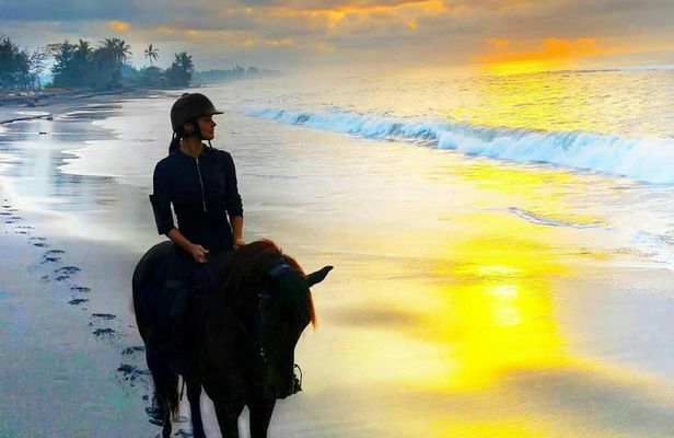 Bali horse riding experience and coffe plantation visit