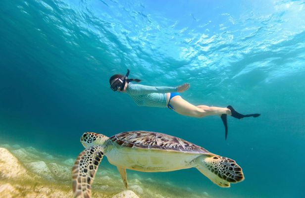 Bali Blue Lagoon snorkeling excursion with Tegenungan Waterfall