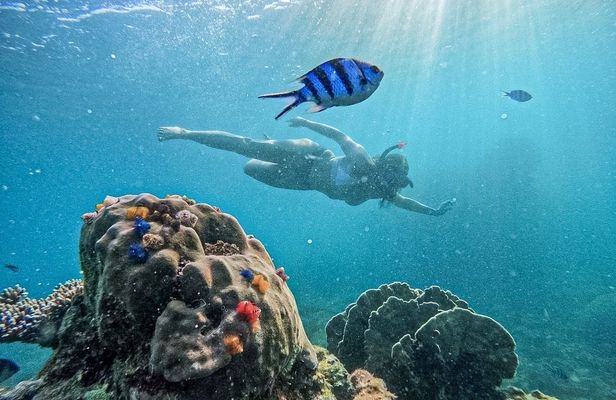Koh Nangyuan and Hidden Bays Snorkeling Tour with Lunch from Kho Tao