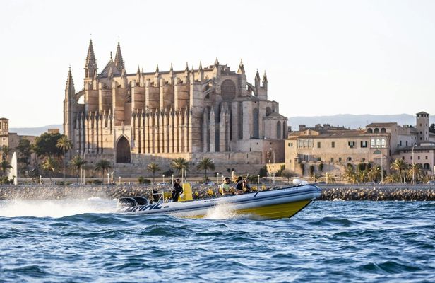 Discovery Speedboat Experience in Mallorca
