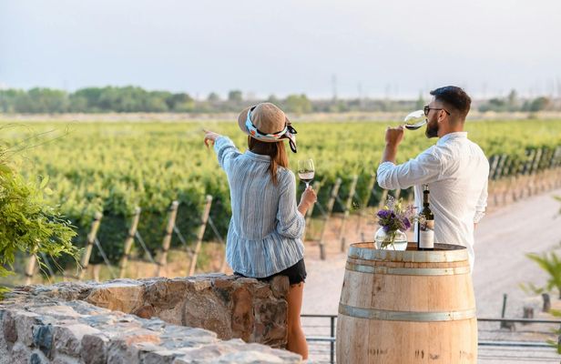 Mendoza Vineyards Tour with Wine Tasting