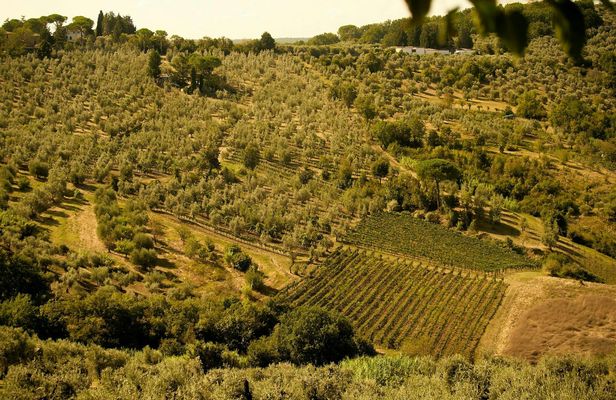6-Hour E-Bike Tour from Florence to Chianti with Lunch and Tastings