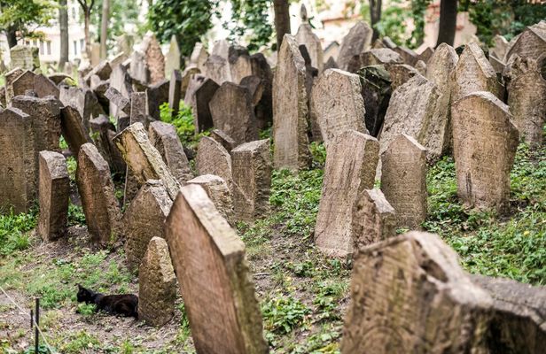 Walking tour of Prague's Jewish Quarter with Jewish Museum tickets