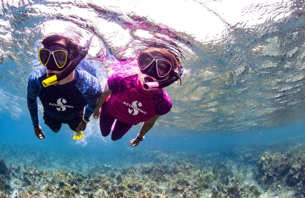 Snorkeling Tour by Boat in Mallorca
