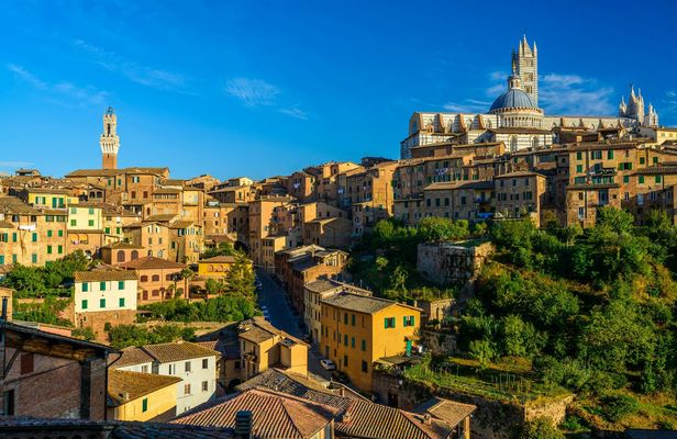 Guided Tour of Siena's Historical Centre and Cathedral
