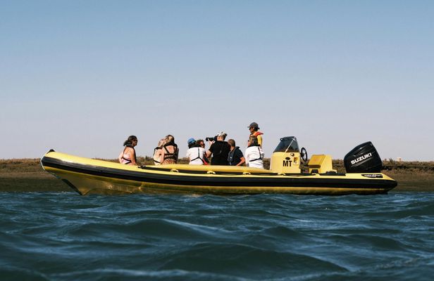 Ria Formosa Eco-Boat Guided Tour with a Marine Biologist