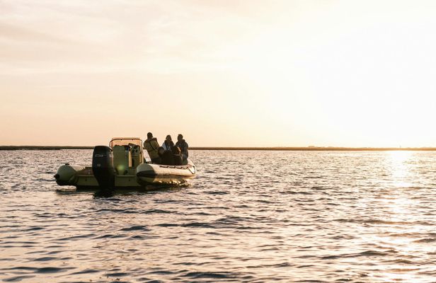 Ria Formosa Sunset Boat Tour with a Marine Biologist