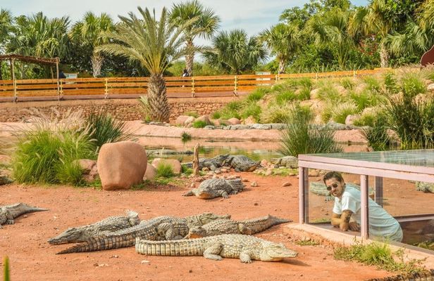 Morning Tour to Crocoparc & Tree-Climbing Goats From Agadir or Taghazout