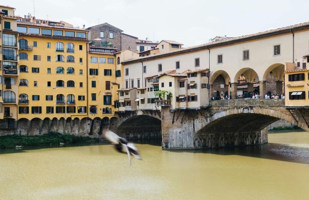 Accademia Gallery guided tour with 24 or 48-hour hop-on hop-off bus tickets