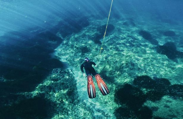 Snorkeling Tour with Certified Guides in Cambrils