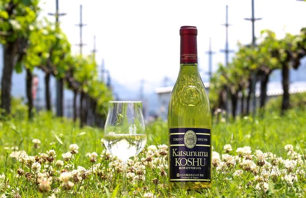 Special Wine Tour at Shirayuri Winery in Katsunuma Yamanashi