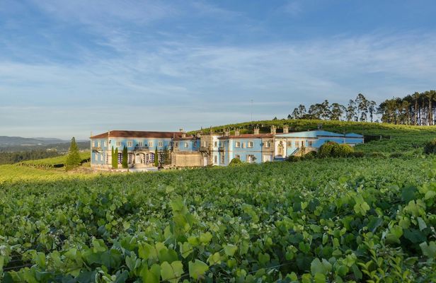 Albariño Wine Tasting with Guided Winery Tour