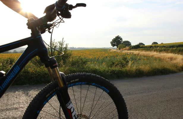 Scenic E-Bike Tour in Chianti Wine Region with Lunch