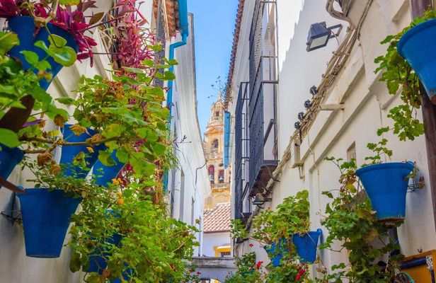 Day trip from Málaga to Córdoba with optional guided tour