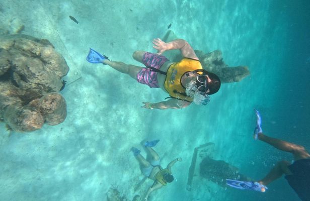 Cancun snorkelling experience with turtles, reef and shipwreck