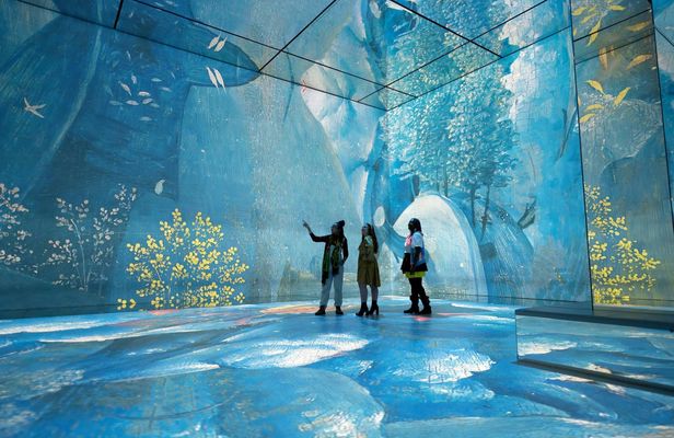 "Frameless" Immersive Art Experience entrance tickets