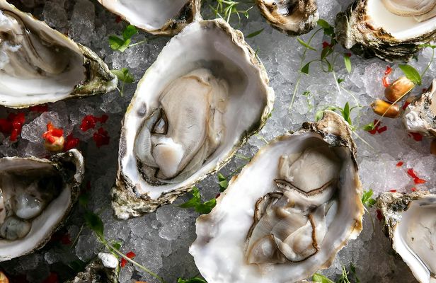 Oyster Happy Hour with Bubbles and Live Music in London