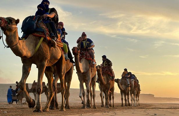 Sunset Camel Ride with BBQ Dinner from Agadir or Taghazout